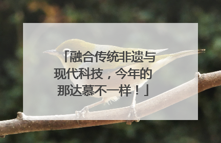 融合传统非遗与现代科技，今年的那达慕不一样！