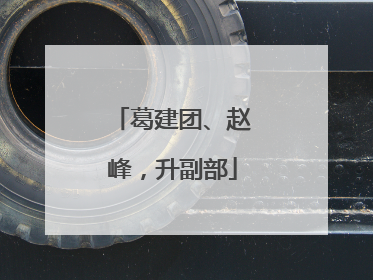 葛建团、赵峰，升副部