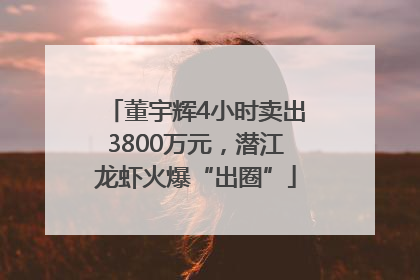 董宇辉4小时卖出3800万元，潜江龙虾火爆“出圈”