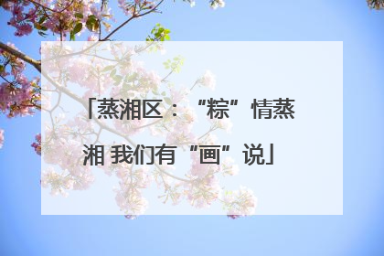蒸湘区：“粽”情蒸湘 我们有“画”说