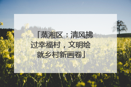 蒸湘区：清风拂过幸福村，文明绘就乡村新画卷