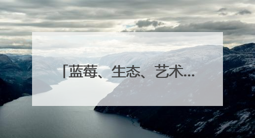 蓝莓、生态、艺术……记者实探张家楼乡村振兴“三重奏”