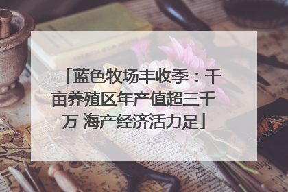 蓝色牧场丰收季：千亩养殖区年产值超三千万 海产经济活力足