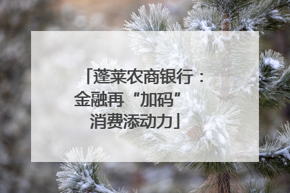 蓬莱农商银行：金融再“加码” 消费添动力