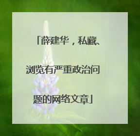 薛建华，私藏、浏览有严重政治问题的网络文章