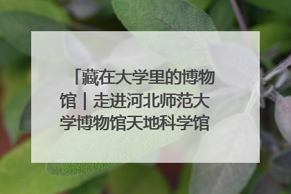 藏在大学里的博物馆｜走进河北师范大学博物馆天地科学馆：在校园里赴一场“宇宙之约”