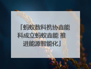 蚂蚁数科携协鑫能科成立蚂蚁鑫能 推进能源智能化