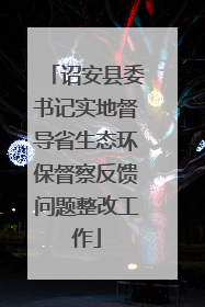 诏安县委书记实地督导省生态环保督察反馈问题整改工作