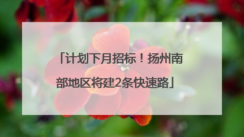 计划下月招标！扬州南部地区将建2条快速路