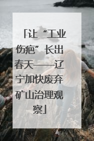 让“工业伤疤”长出春天——辽宁加快废弃矿山治理观察