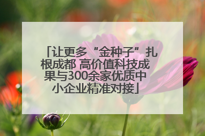 让更多“金种子”扎根成都 高价值科技成果与300余家优质中小企业精准对接