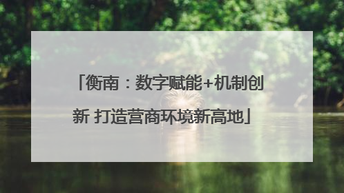 衡南：数字赋能+机制创新 打造营商环境新高地