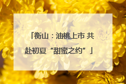 衡山：油桃上市 共赴初夏“甜蜜之约”