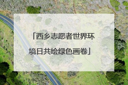 西乡志愿者世界环境日共绘绿色画卷
