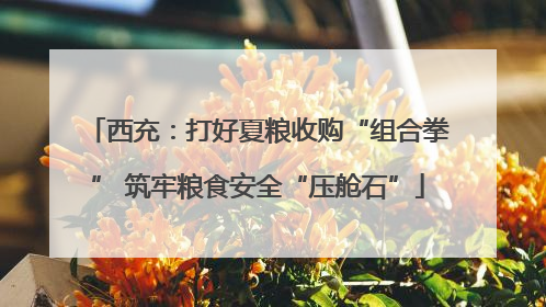 西充：打好夏粮收购“组合拳” 筑牢粮食安全“压舱石”
