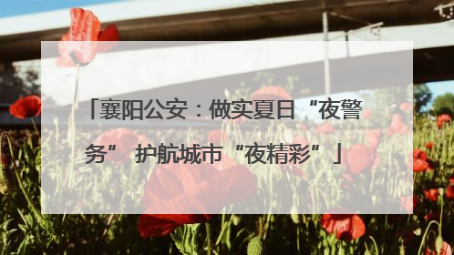 襄阳公安：做实夏日“夜警务” 护航城市“夜精彩”