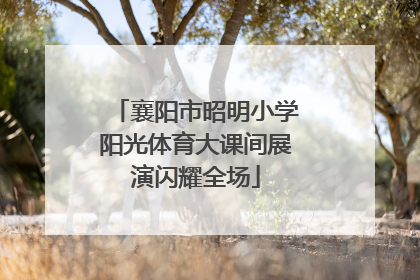 襄阳市昭明小学阳光体育大课间展演闪耀全场