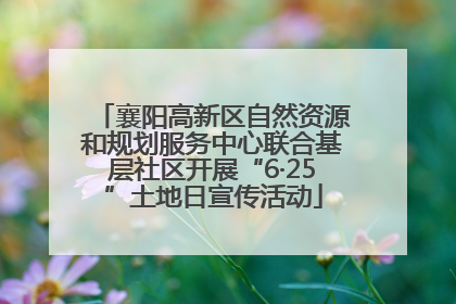 襄阳高新区自然资源和规划服务中心联合基层社区开展“6·25”土地日宣传活动
