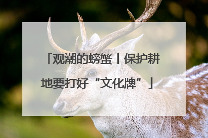 观潮的螃蟹丨保护耕地要打好“文化牌”