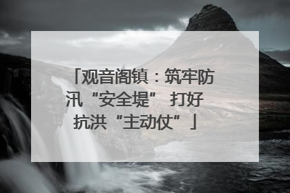 观音阁镇：筑牢防汛“安全堤” 打好抗洪“主动仗”