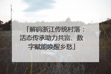 解码浙江传统村落：活态传承助力共富、数字赋能唤醒乡愁