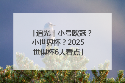 追光｜小号欧冠？小世界杯？2025世俱杯6大看点