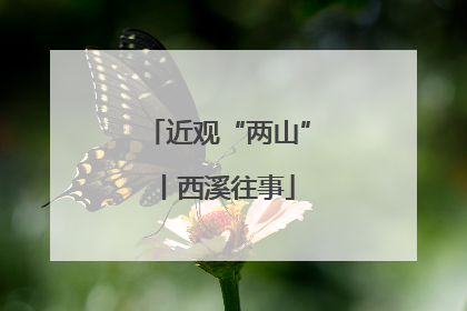 近观“两山”丨西溪往事