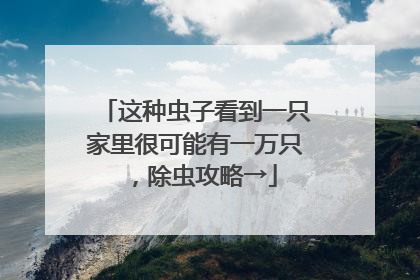这种虫子看到一只家里很可能有一万只，除虫攻略→
