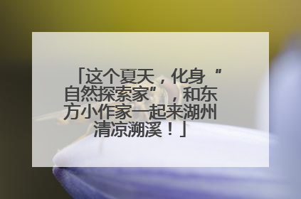 这个夏天，化身“自然探索家”，和东方小作家一起来湖州清凉溯溪！