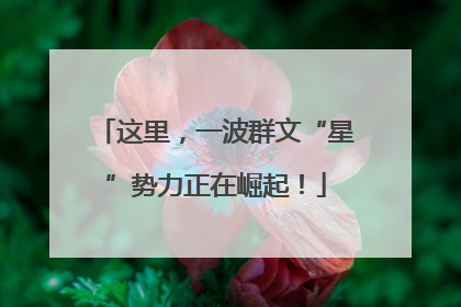 这里，一波群文“星”势力正在崛起！