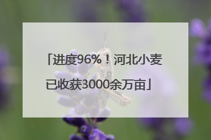 进度96%！河北小麦已收获3000余万亩