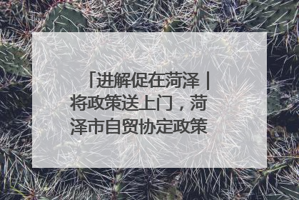 进解促在菏泽｜将政策送上门，菏泽市自贸协定政策专题宣讲会召开