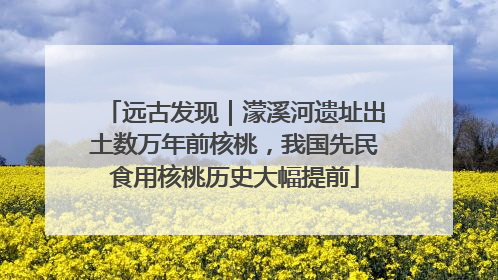 远古发现｜濛溪河遗址出土数万年前核桃，我国先民食用核桃历史大幅提前