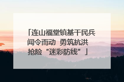 连山福堂镇基干民兵闻令而动  勇筑抗洪抢险“迷彩防线”