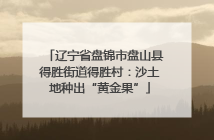 辽宁省盘锦市盘山县得胜街道得胜村：沙土地种出“黄金果”