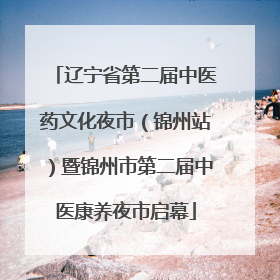辽宁省第二届中医药文化夜市（锦州站）暨锦州市第二届中医康养夜市启幕