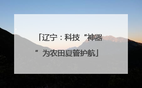 辽宁：科技“神器”为农田夏管护航