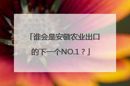 谁会是安徽农业出口的下一个NO.1？