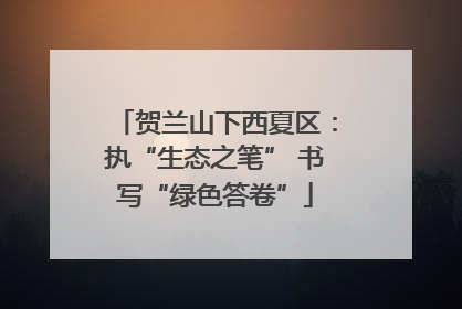贺兰山下西夏区：执“生态之笔” 书写“绿色答卷”