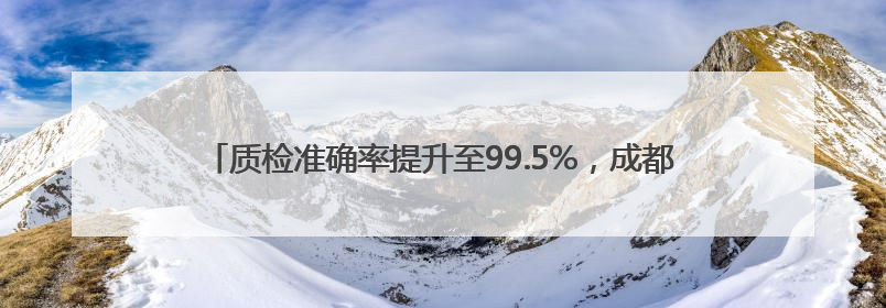 质检准确率提升至99.5%，成都这一项目入选国家级标准应用试点