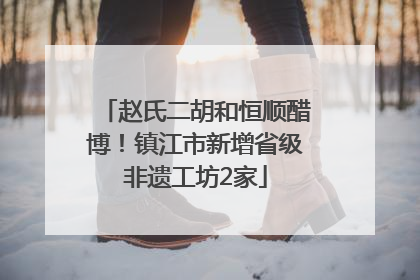 赵氏二胡和恒顺醋博！镇江市新增省级非遗工坊2家