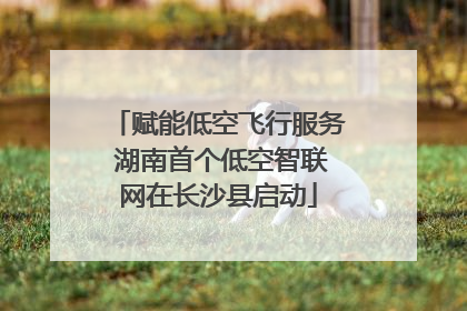 赋能低空飞行服务 湖南首个低空智联网在长沙县启动