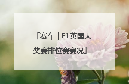 赛车｜F1英国大奖赛排位赛赛况