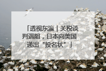 透视东瀛｜关税谈判遇阻，日本向美国递出“投名状”