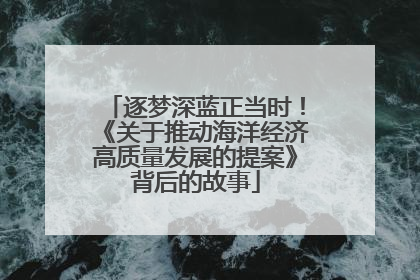 逐梦深蓝正当时！《关于推动海洋经济高质量发展的提案》背后的故事