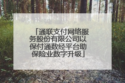 通联支付网络服务股份有限公司以保付通数经平台助保险业数字升级