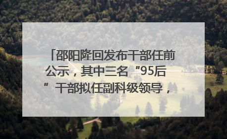 邵阳隆回发布干部任前公示，其中三名“95后”干部拟任副科级领导，均系硕士选调生