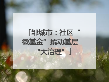 邹城市：社区“微基金”撬动基层“大治理”