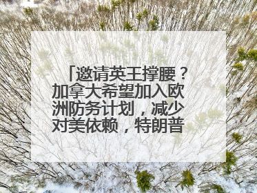 邀请英王撑腰？加拿大希望加入欧洲防务计划，减少对美依赖，特朗普：成为美国第51个州，免费用“金穹”