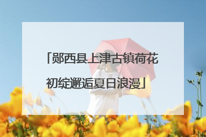 郧西县上津古镇荷花初绽邂逅夏日浪漫